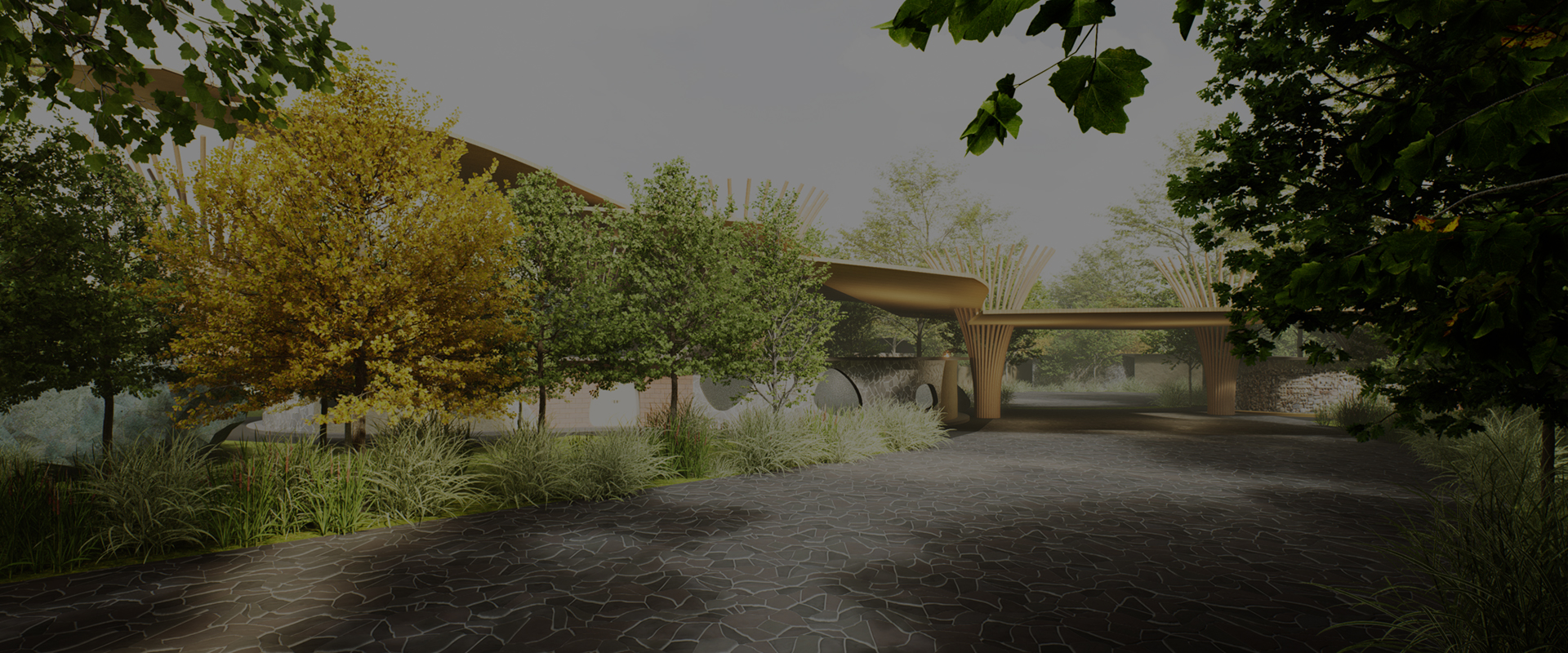 Forest Nation Home Video and image